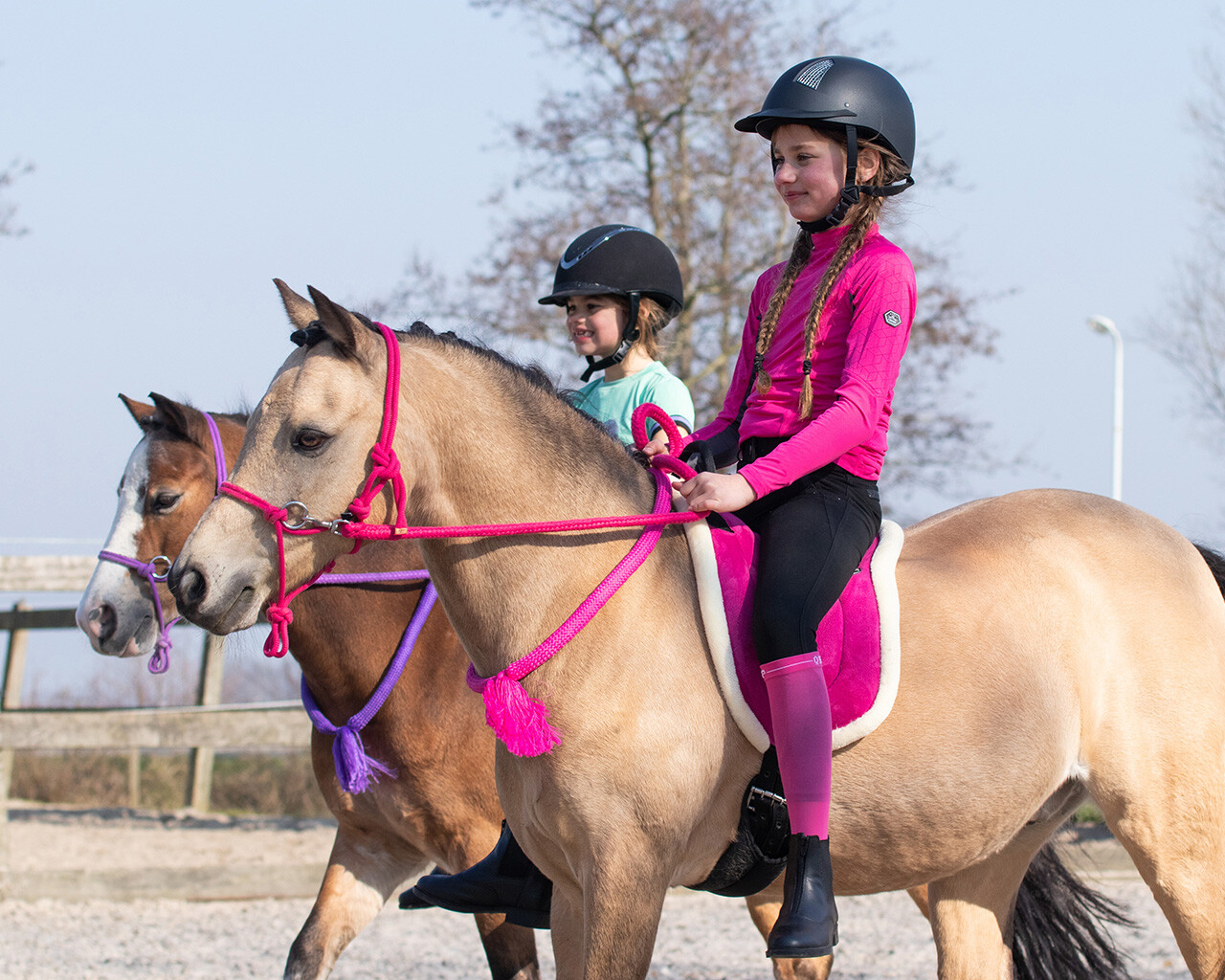 Пад для верховой езды, QHP