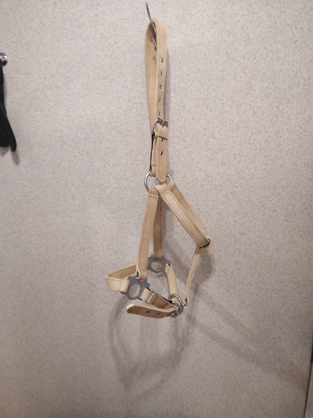 Недоуздок из сыромятной кожи