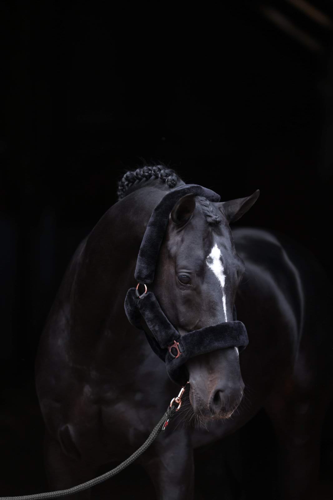 Недоуздок SuperSoft, Covalliero