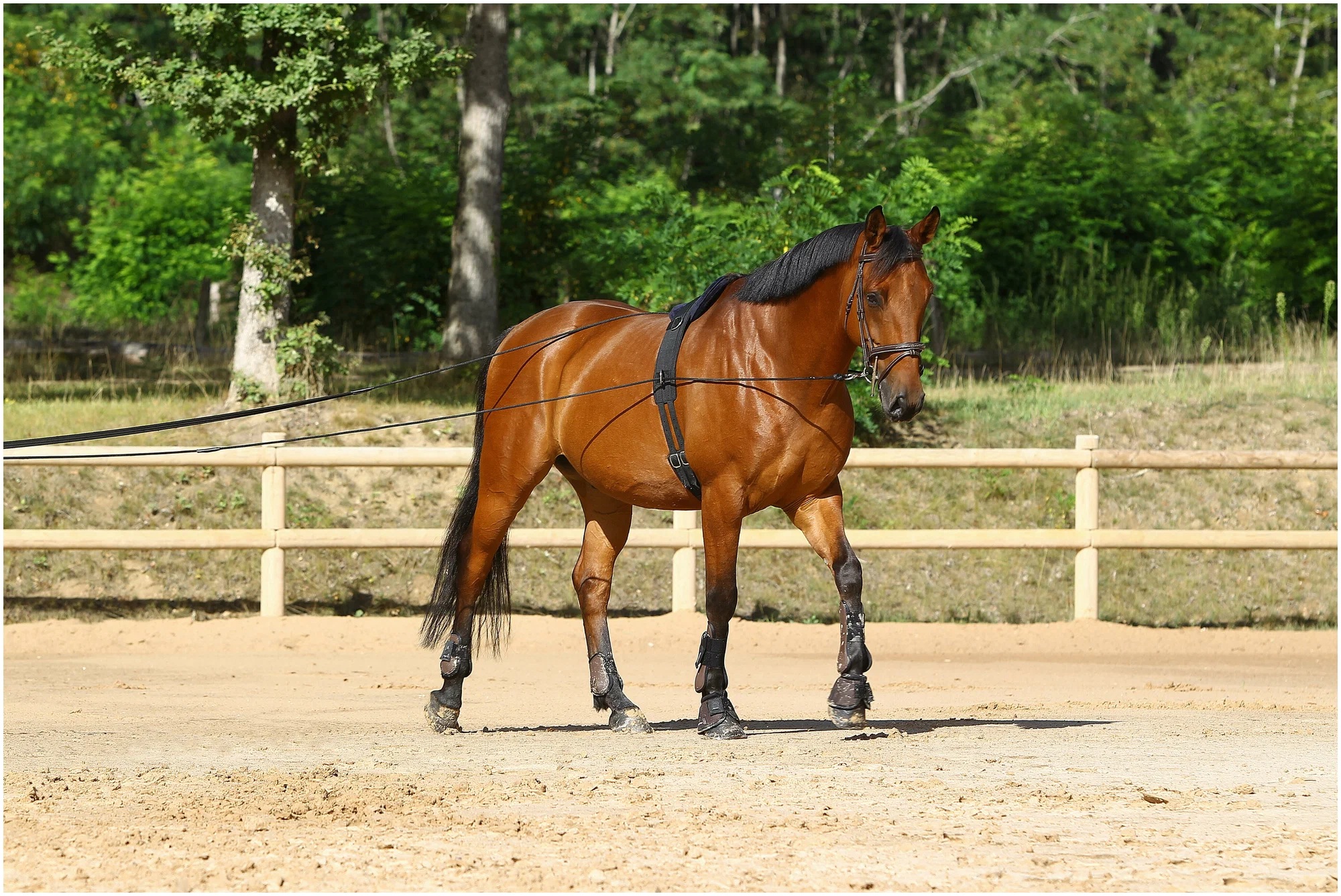 Корда двойная мягкий нейлон 14,8 м.