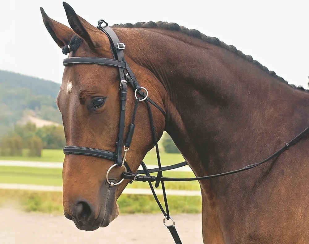 Шамбон с эластичной резинкой Rider