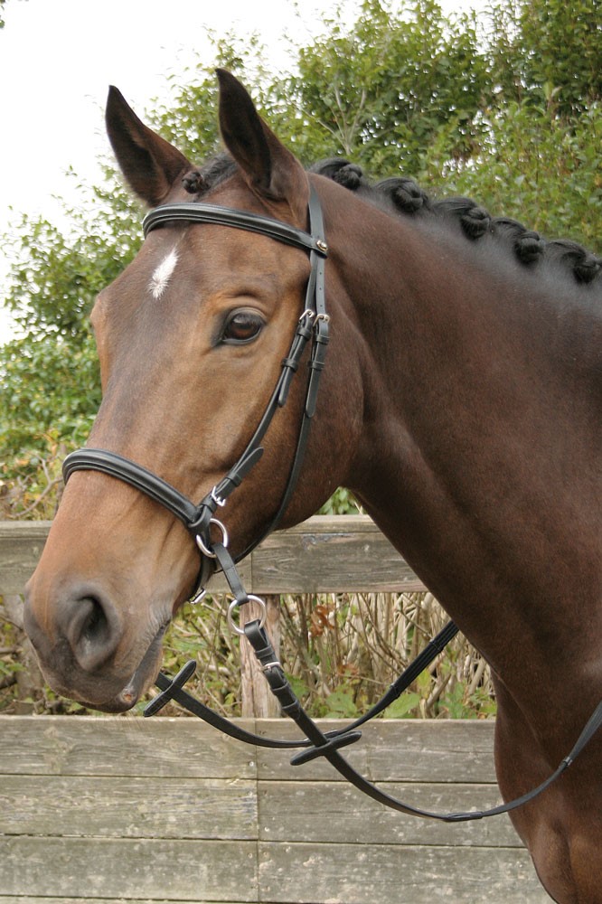 Оголовье безтрензельное КУККА от Harry's Horse