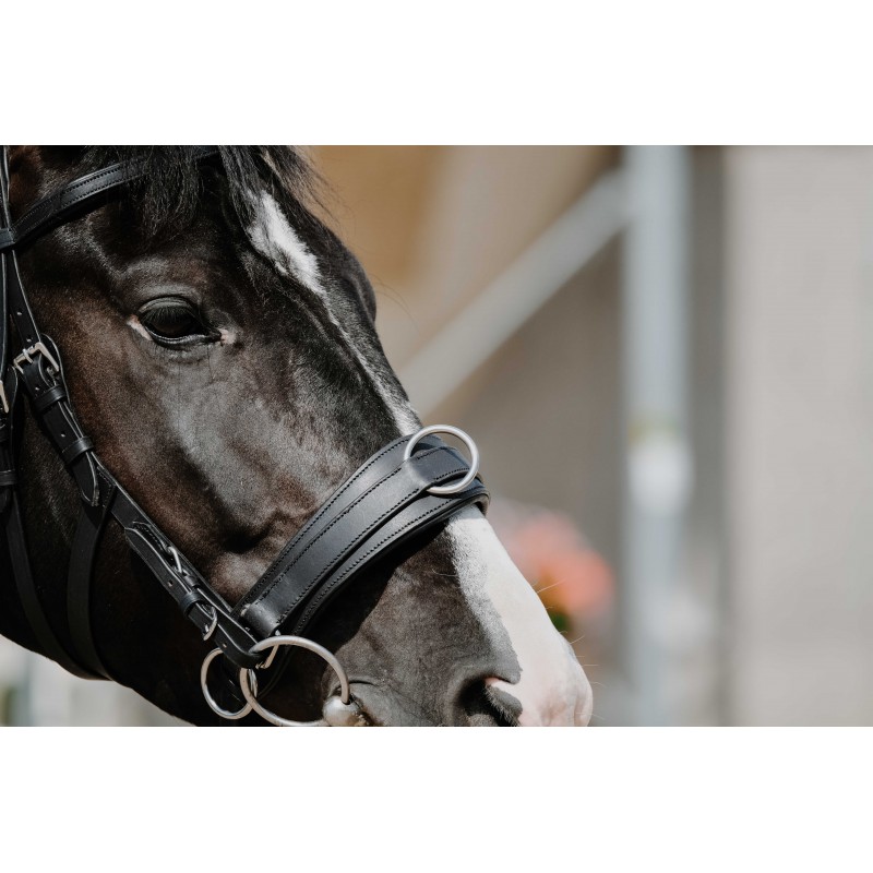 Капцунг кожаный  NORTON черный