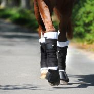 Ватники "Kavalkade"