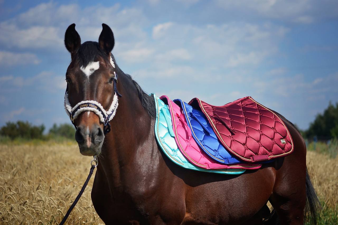 Вальтрап конкурный/универсальный Happy Horse