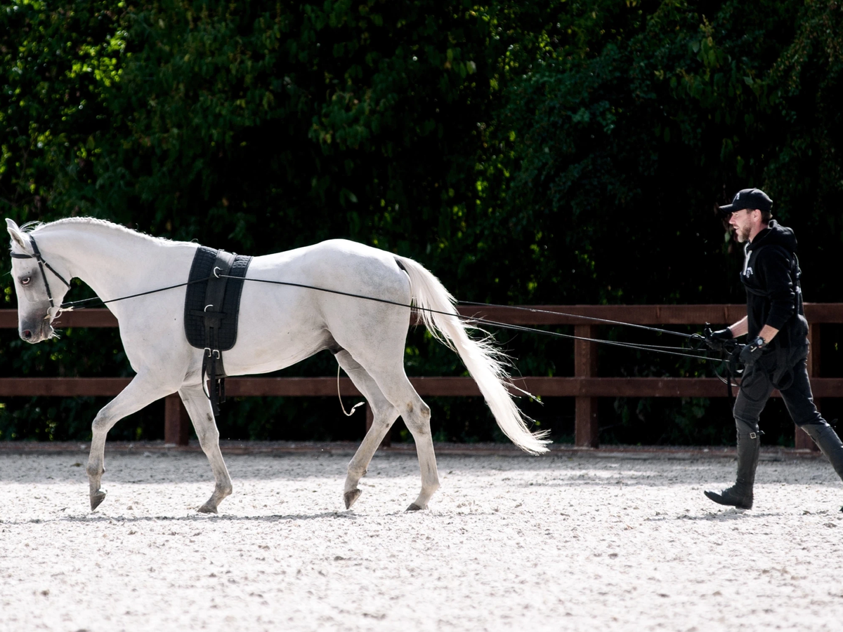 Корда двойная нейлон/шнур на карабинах роз.золото, 14,8 м