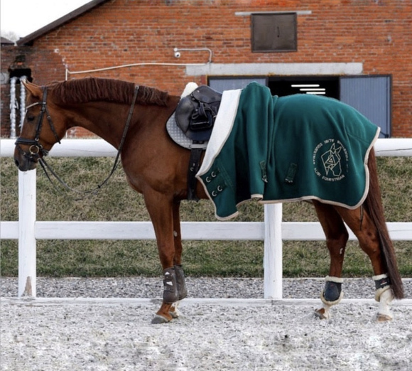 Попона флисовая ALIBI