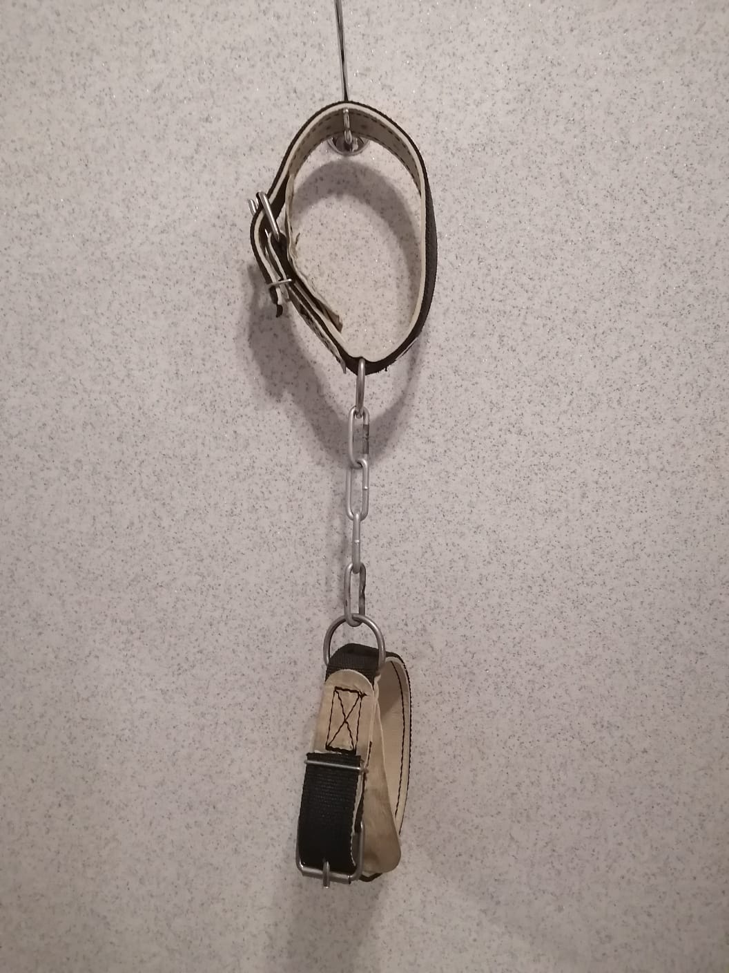 Путы для лошадей