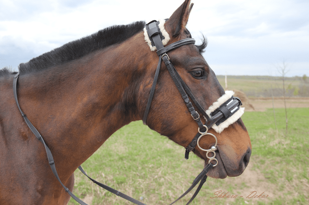 Комплект меховушек на уздечку