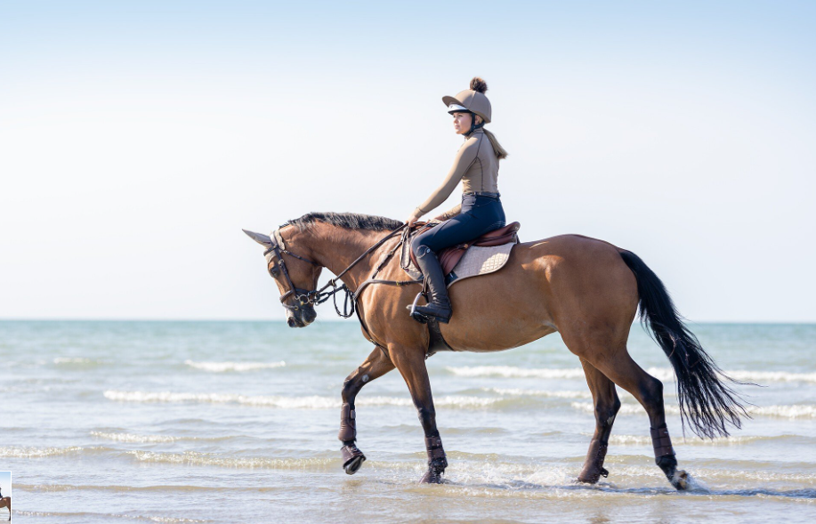 Вальтрап конкурный Close Contact Square, LeMieux