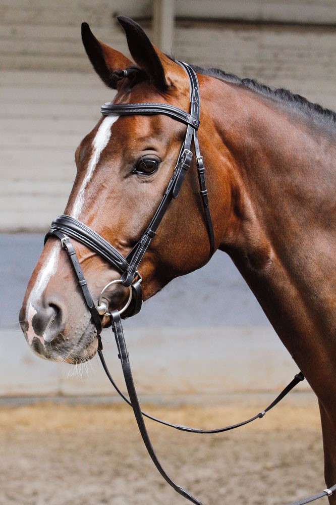 Уздечка с мягкой подложкой SOFT от Harry's Horse