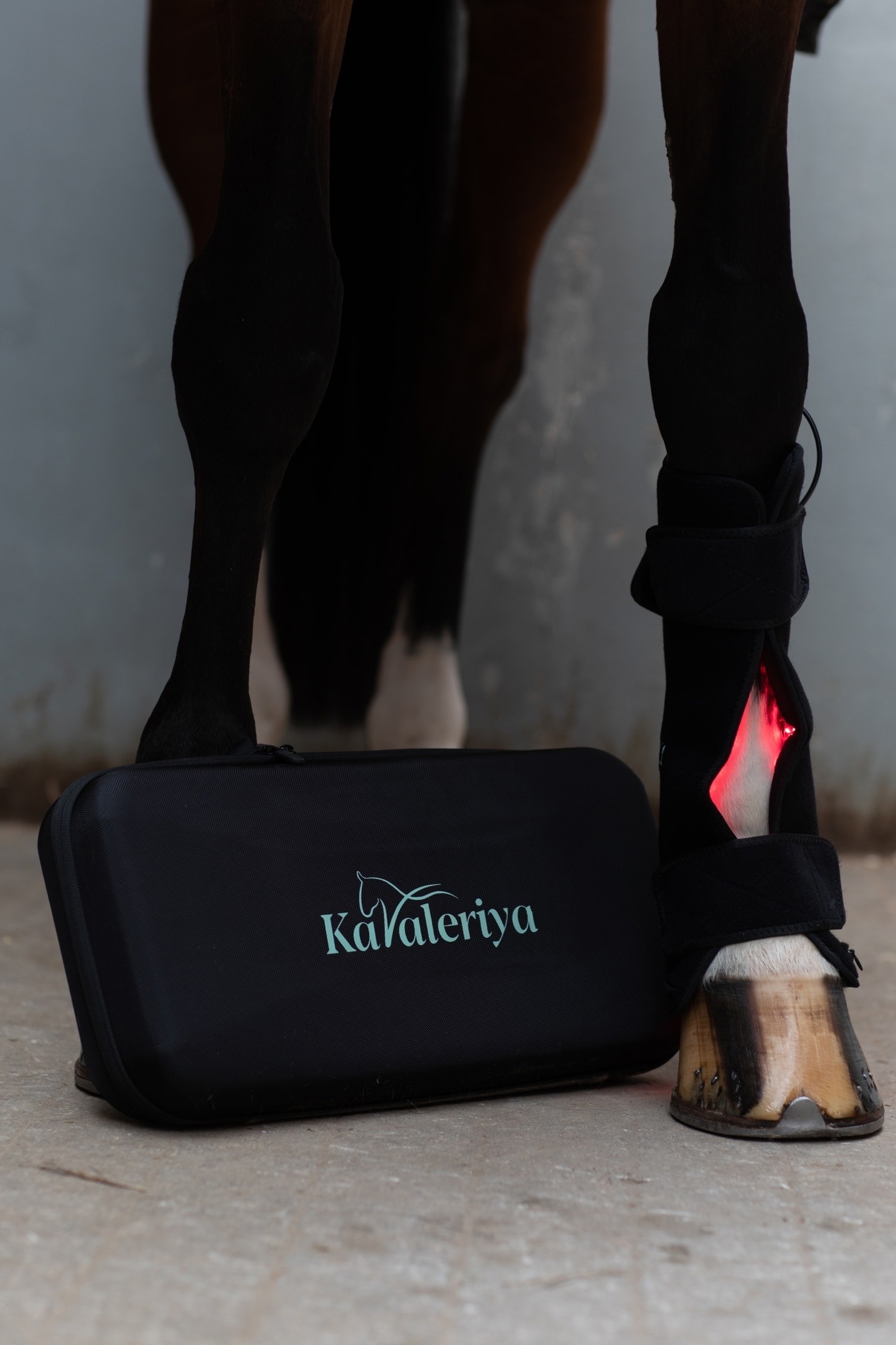 LED-PAD ногавки 1 шт