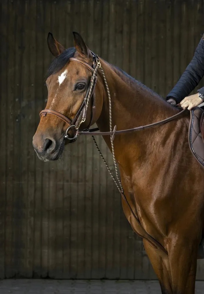 Шамбон кожаный эконом Tattini