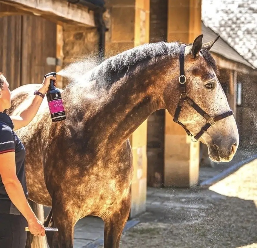 Кондиционер для гривы и хвоста Mane & Tail, 5 литров