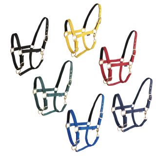 Недоуздок нейлоновый с подложкой