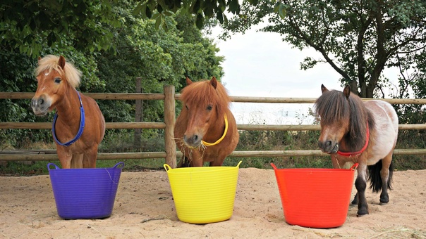 Ведро пластиковое 15 литров