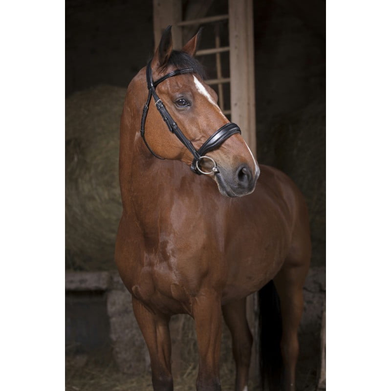 Уздечка "NORTON"