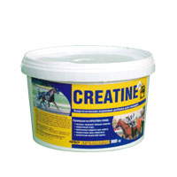 КРЕАТИН "+", 900 гр.