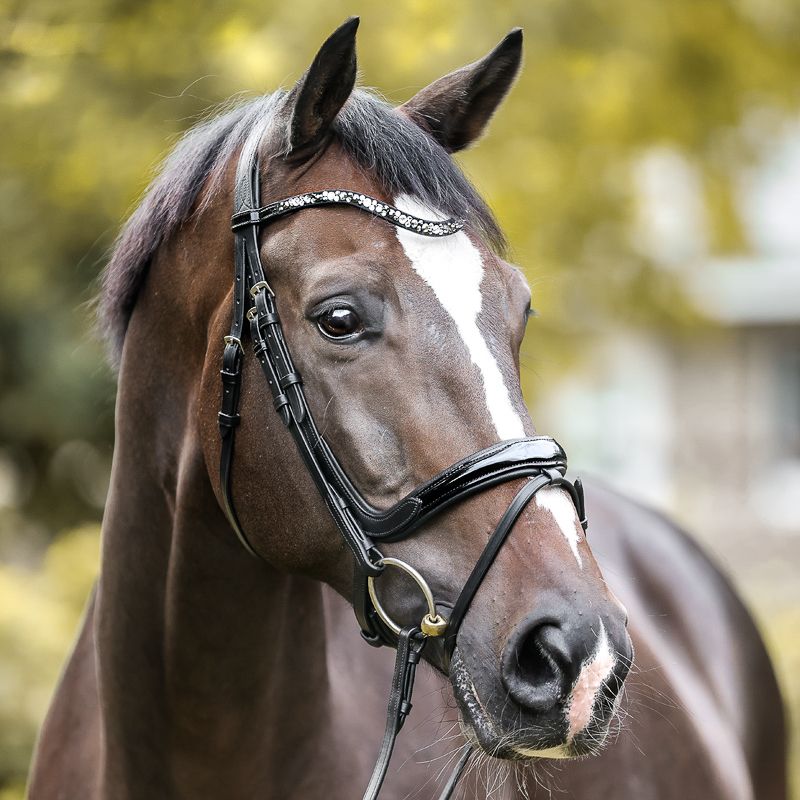 Уздечка "IVANA" с анатомическим затылочным и капсюлем (FULL)