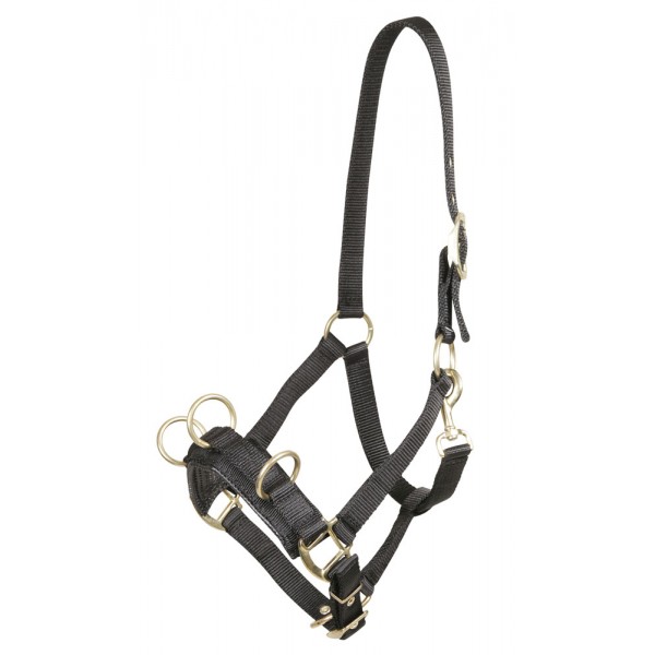 Капцунг нейлон