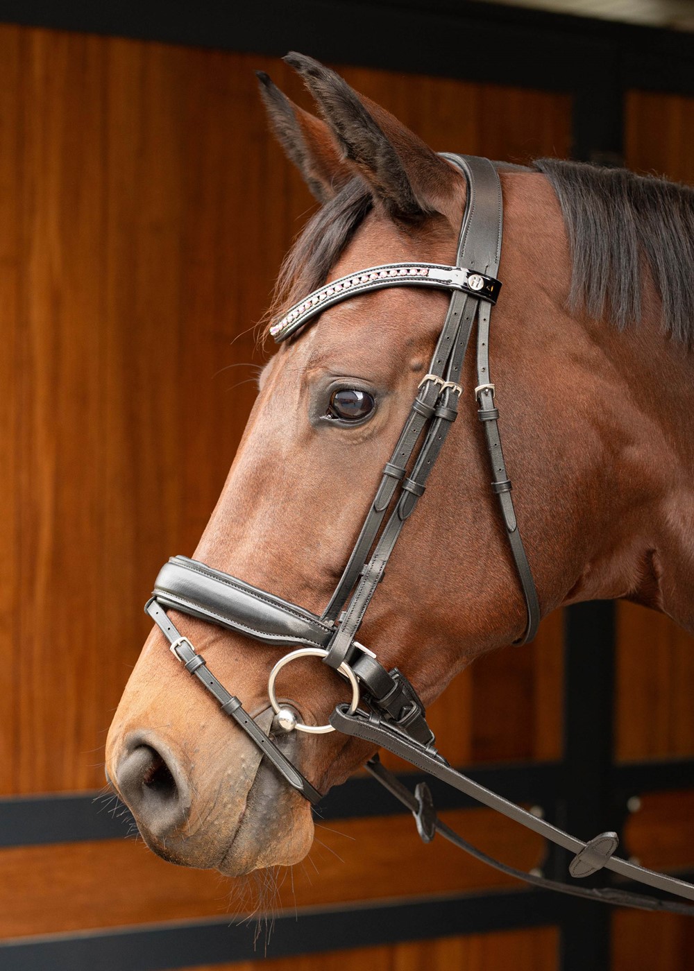 Уздечка с широким капсюлем и кристаллами Allegro от Harry's Horse