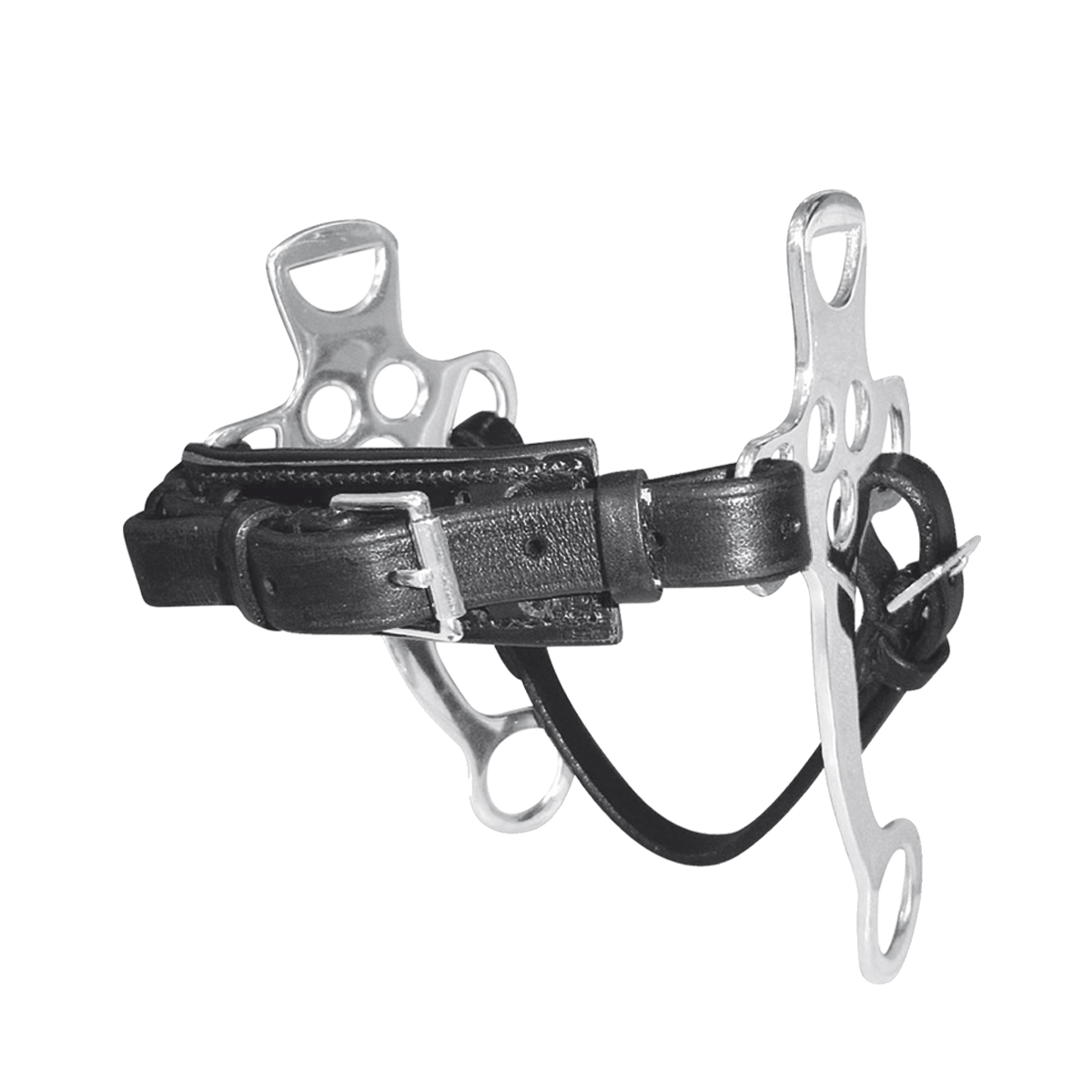 Хакамора кожаная