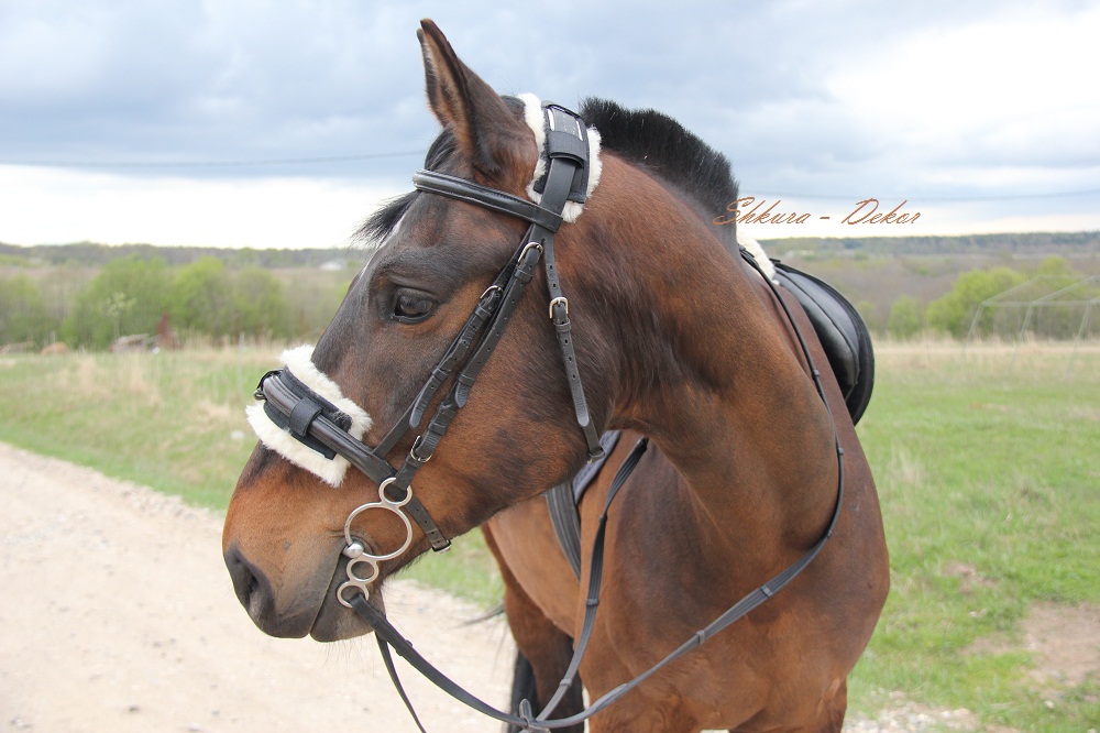 Комплект меховушек на уздечку 2 шт.