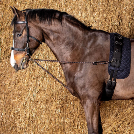 Боковые скользящие развязки для работы на корде Lunging cord V-Line Harry's Horse