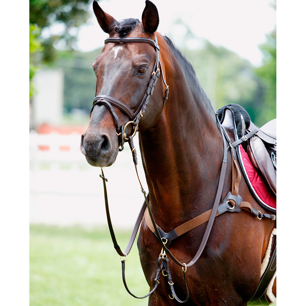 Подперсье с резинками 5-точечное Tattini