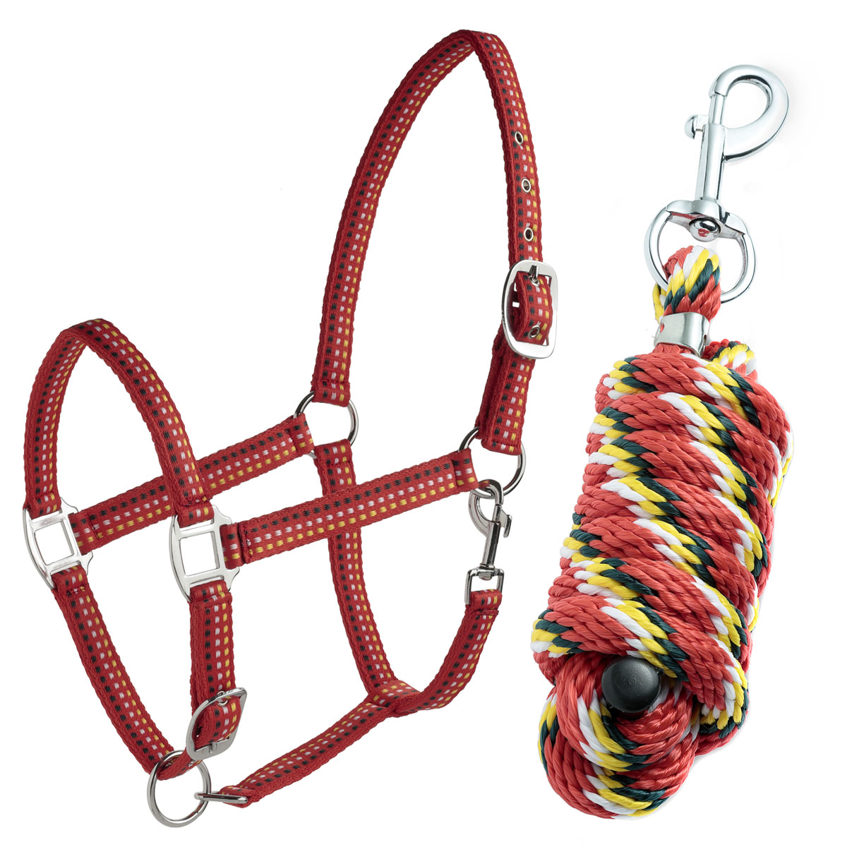 Набор недоуздок + чумбур "Daslo"