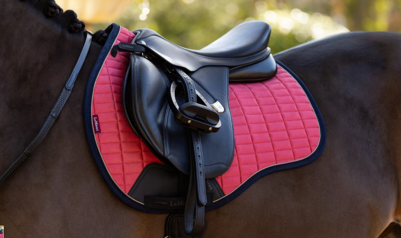 Вальтрап конкурный LeMieux Suede Classic Cranberry