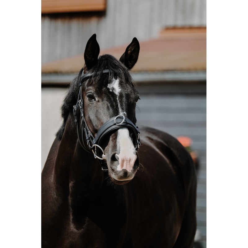 Капцунг кожаный  NORTON черный