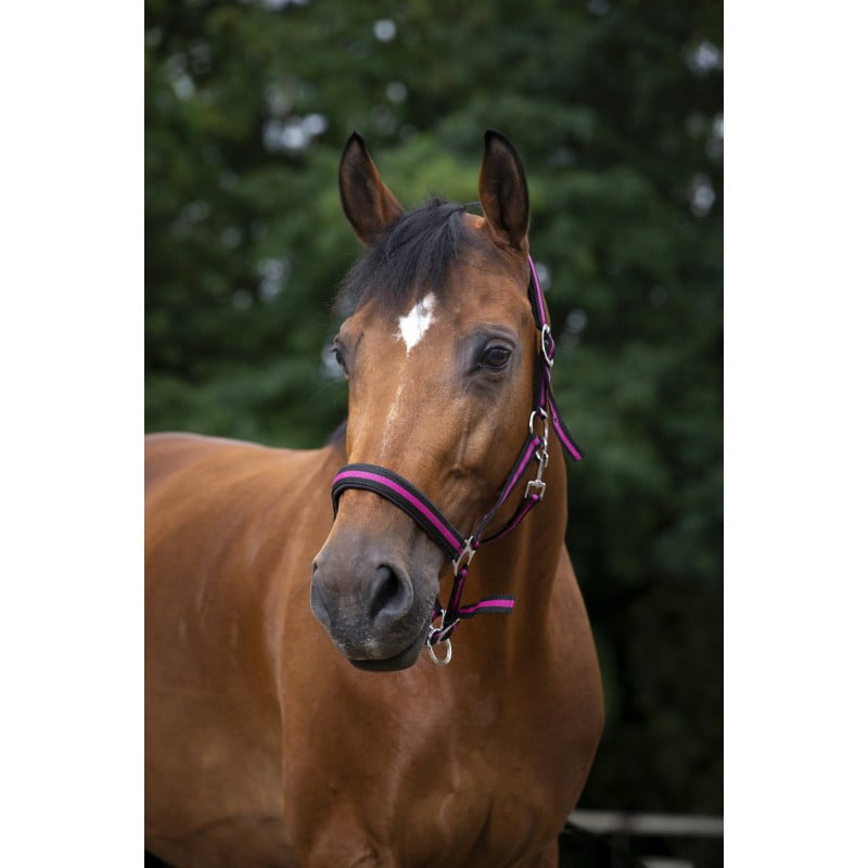 Недоуздок "NORTON"