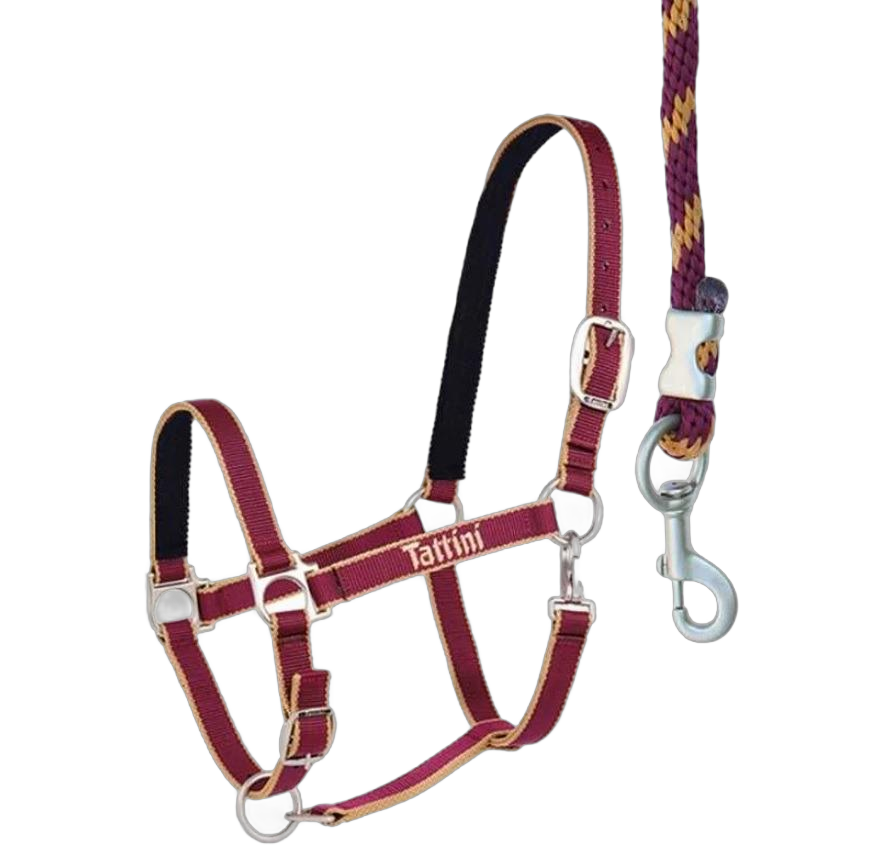 Недоуздок нейлоновый с мягкой подложкой Tattini