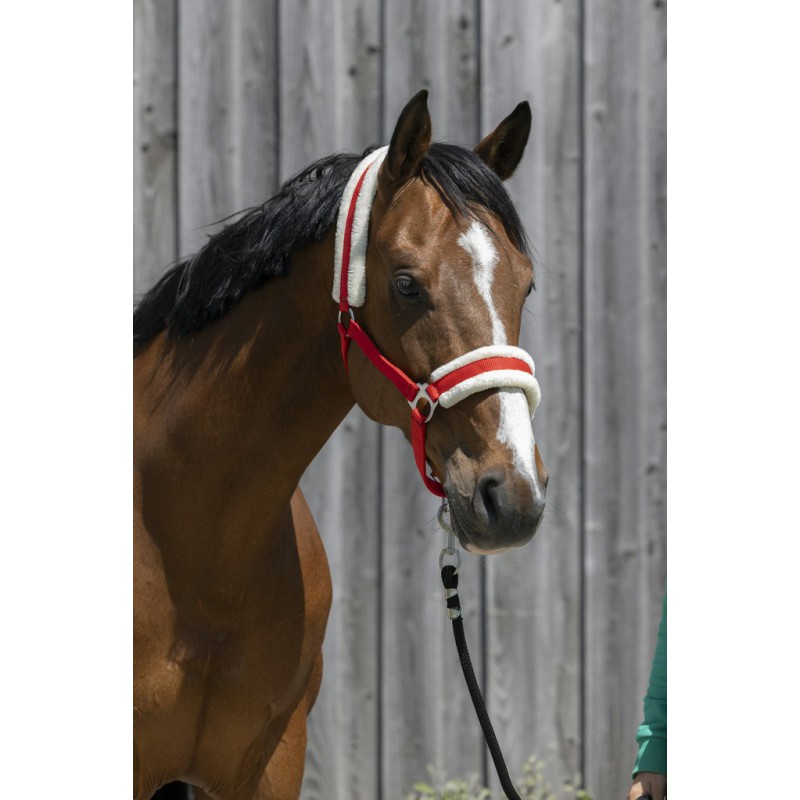 Недоуздок с искусственным мехом