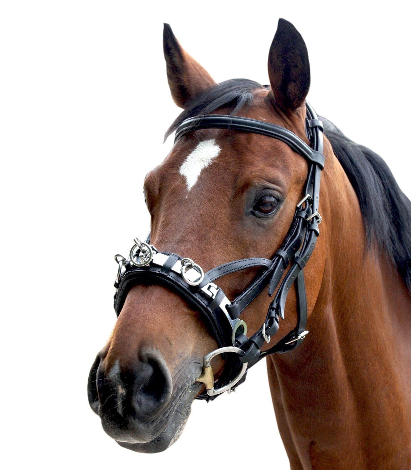 Капцунг кожаный  NORTON черный