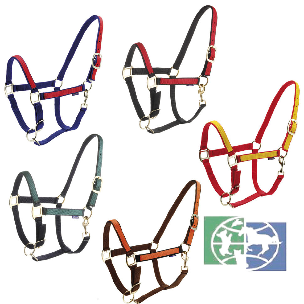 Недоуздок двухцветный "Roma"