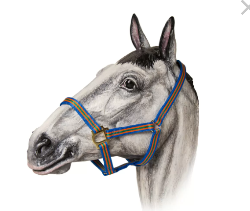 Недоуздок нейлоновый