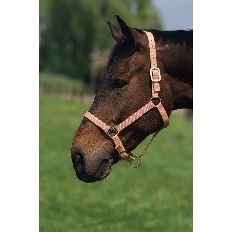 Недоуздок нейлоновый X-FULL