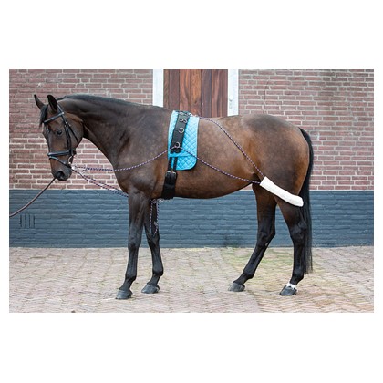 Шлея Пессоа