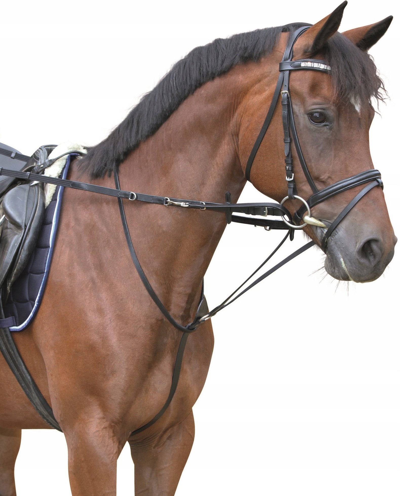 Повод балансирующий для лошади/ Повод Тидемана Rider