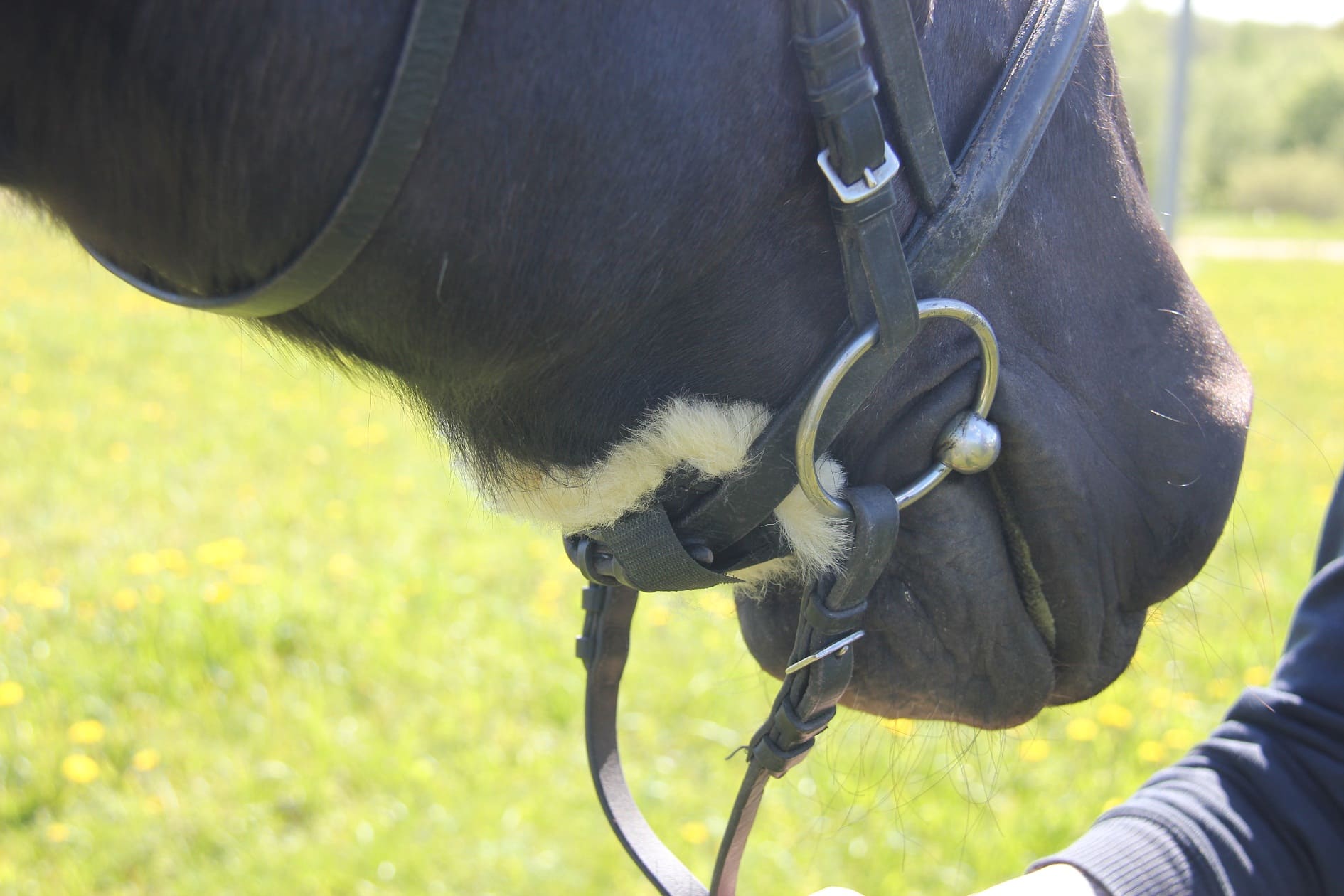 Меховушка под капсюль