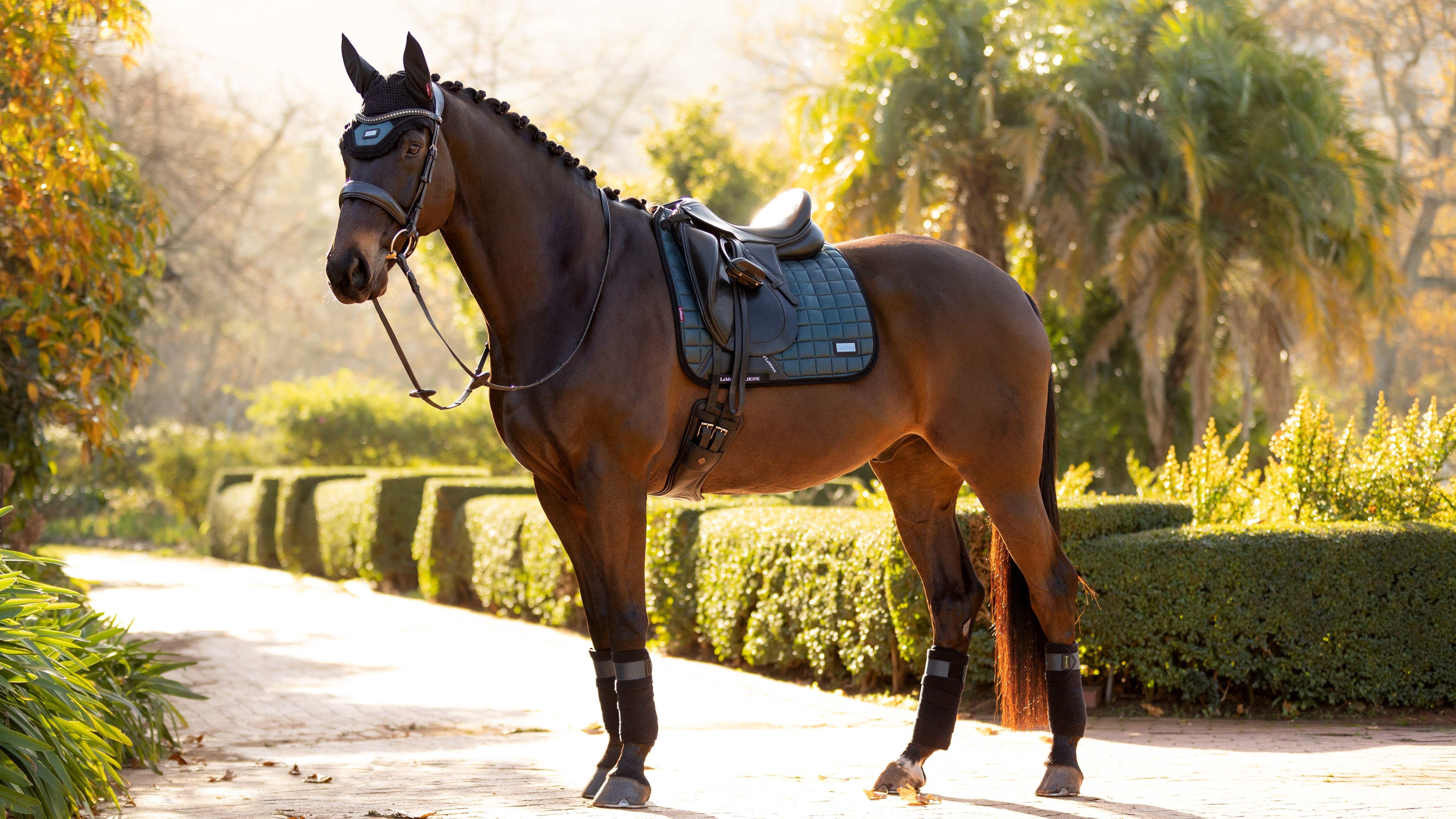Вальтрап выездковый LeMieux Rhone Petrol  + бинты (Комплект)