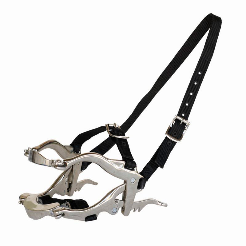 Зевник-недоуздок