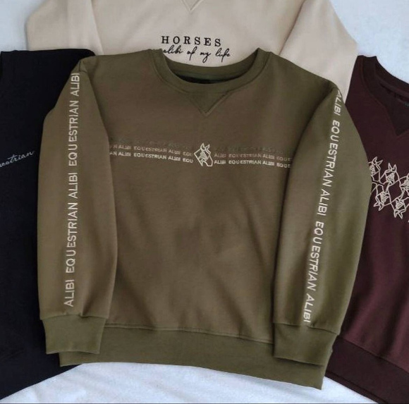 Свитшот ALIBI