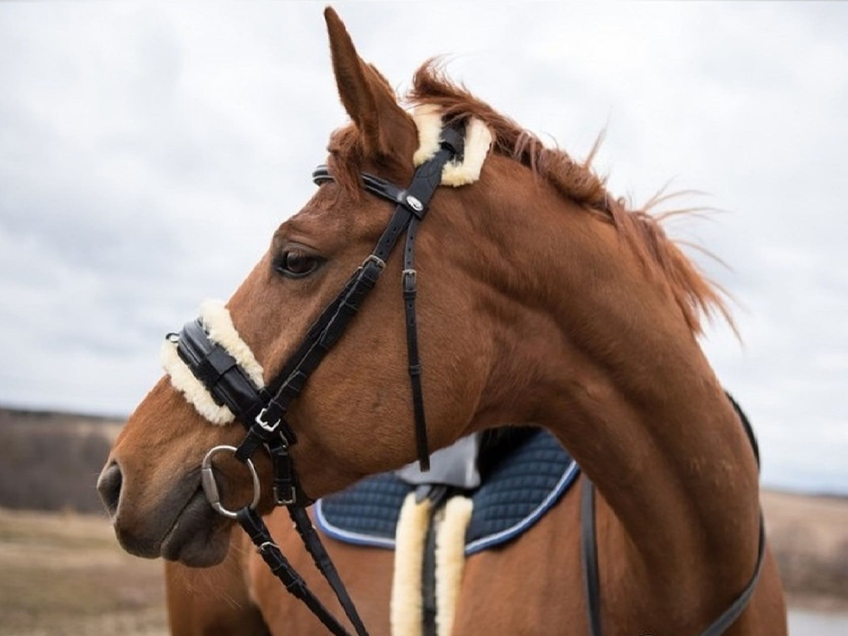 Меховушка на уздечку (с кантом)