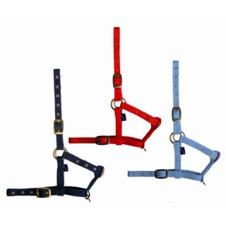 Недоуздок для жеребят "Daslo"