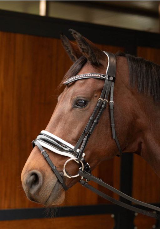Уздечка для лошади Chique размер Full цвет черный Harry's Horse