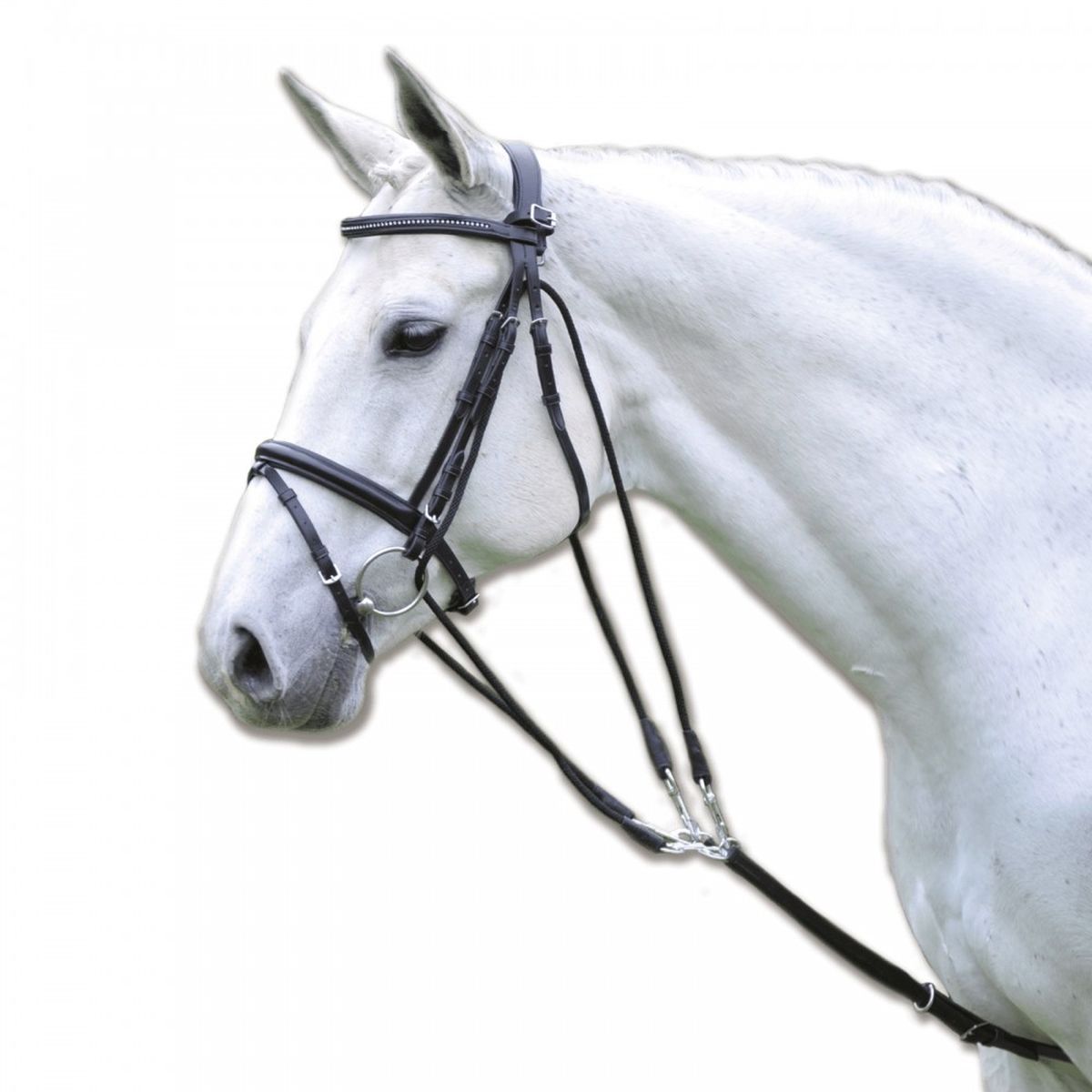 Гог кожаный с четырьмя карабинами / шпрунт / шамбон