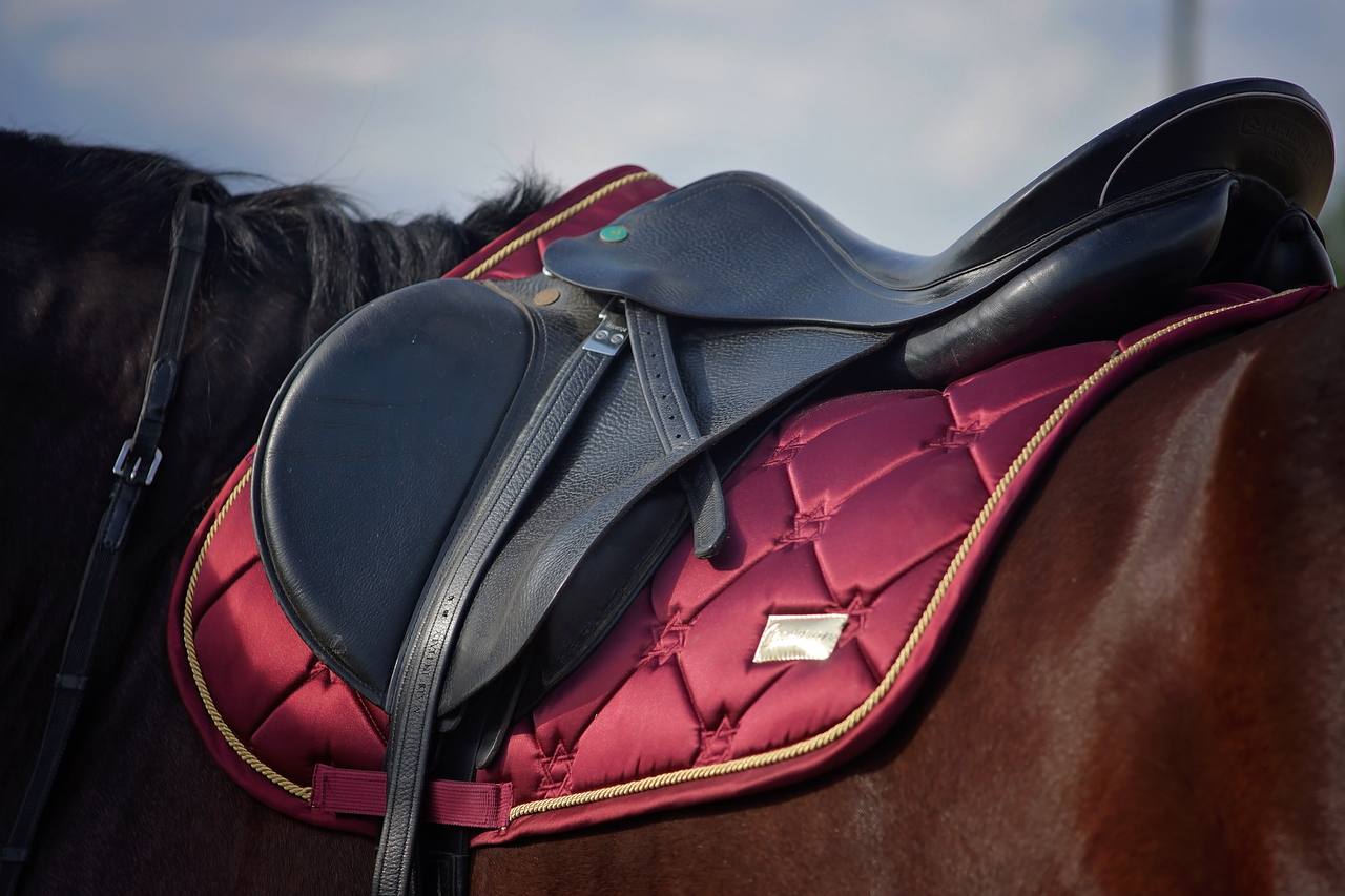 Вальтрап конкурный/универсальный Happy Horse